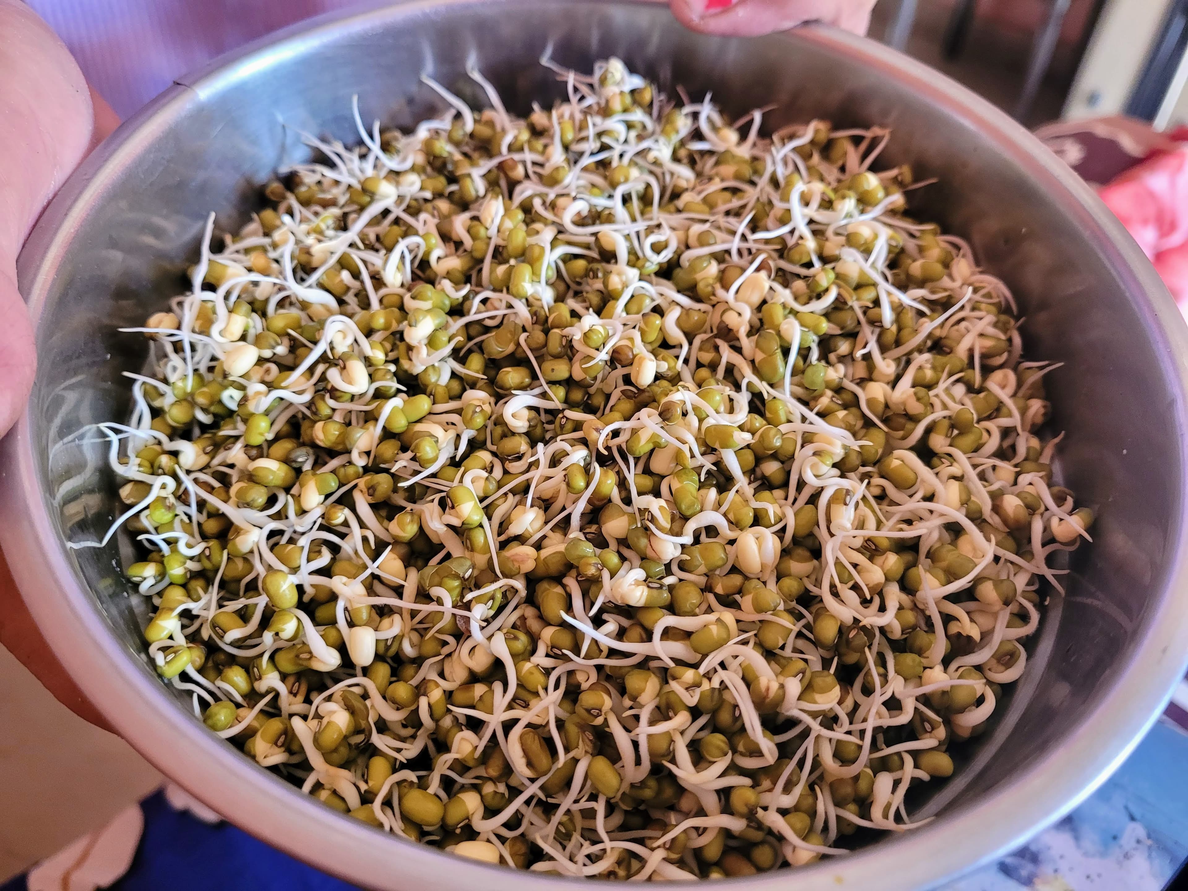 4 Quick and Simple Recipes with Mung Bean Sprouts